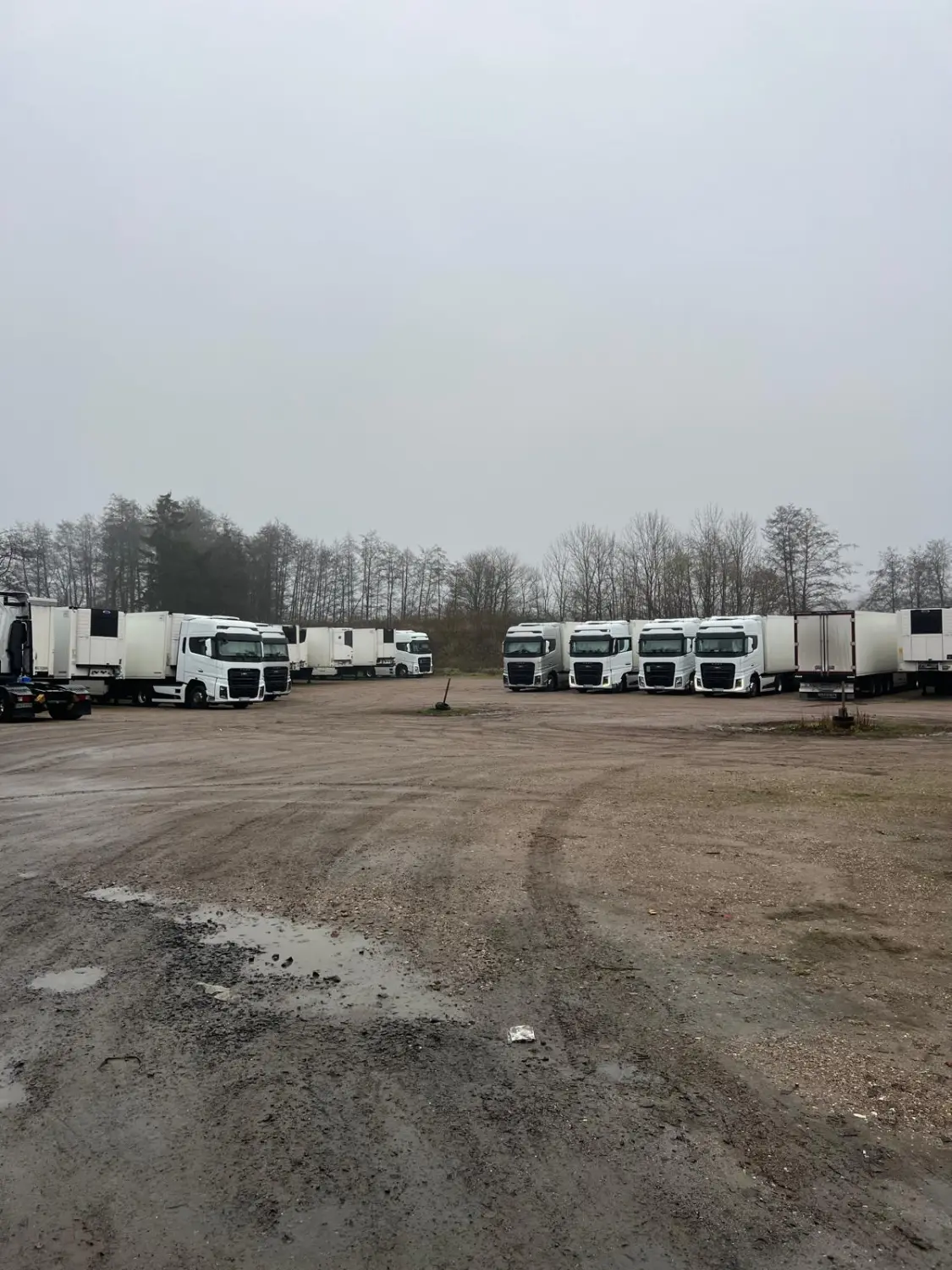G.M.S. GmbH – Lastkraftwagen