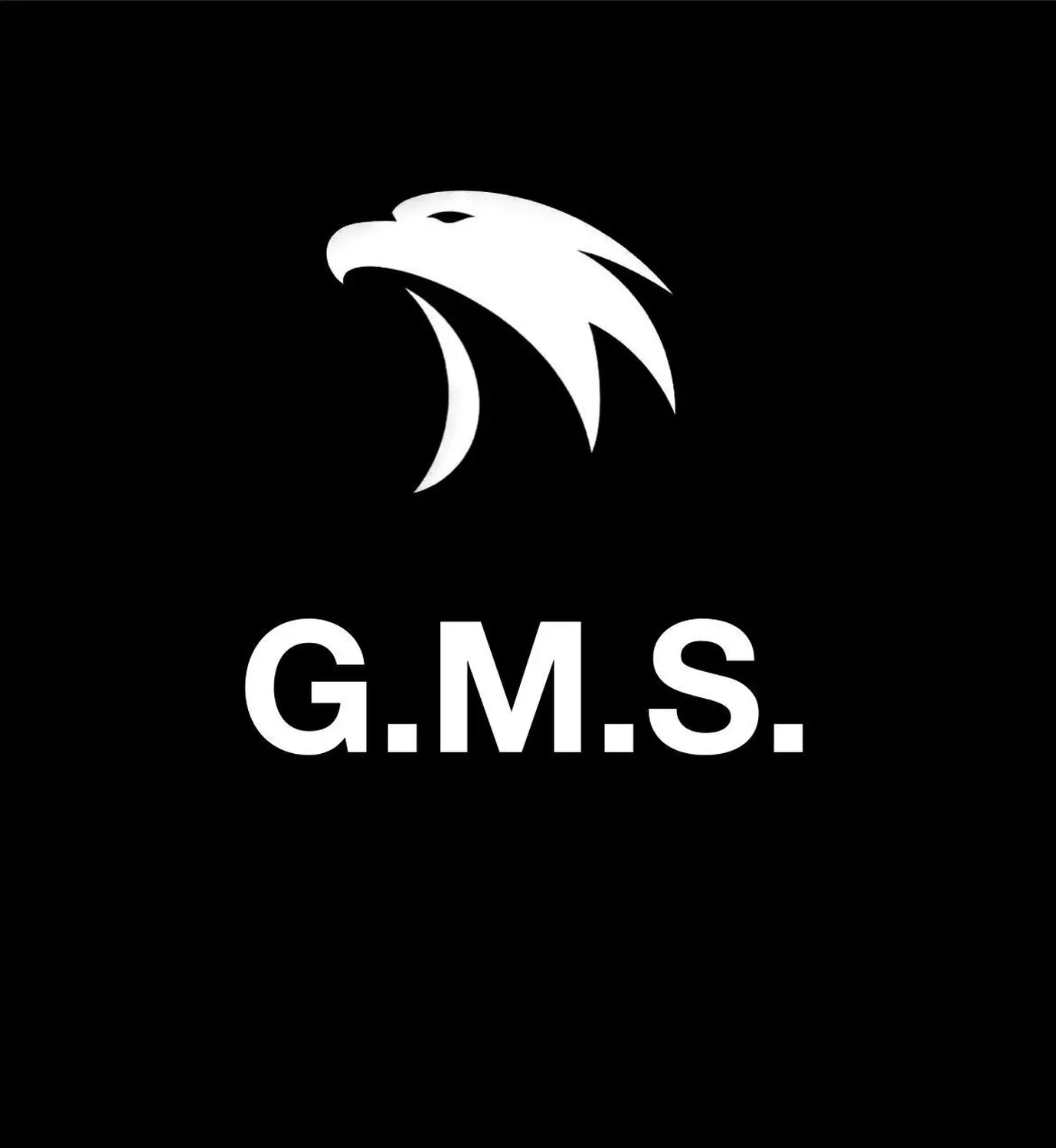 G.M.S. GmbH Logo